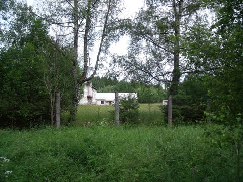 Foto 31